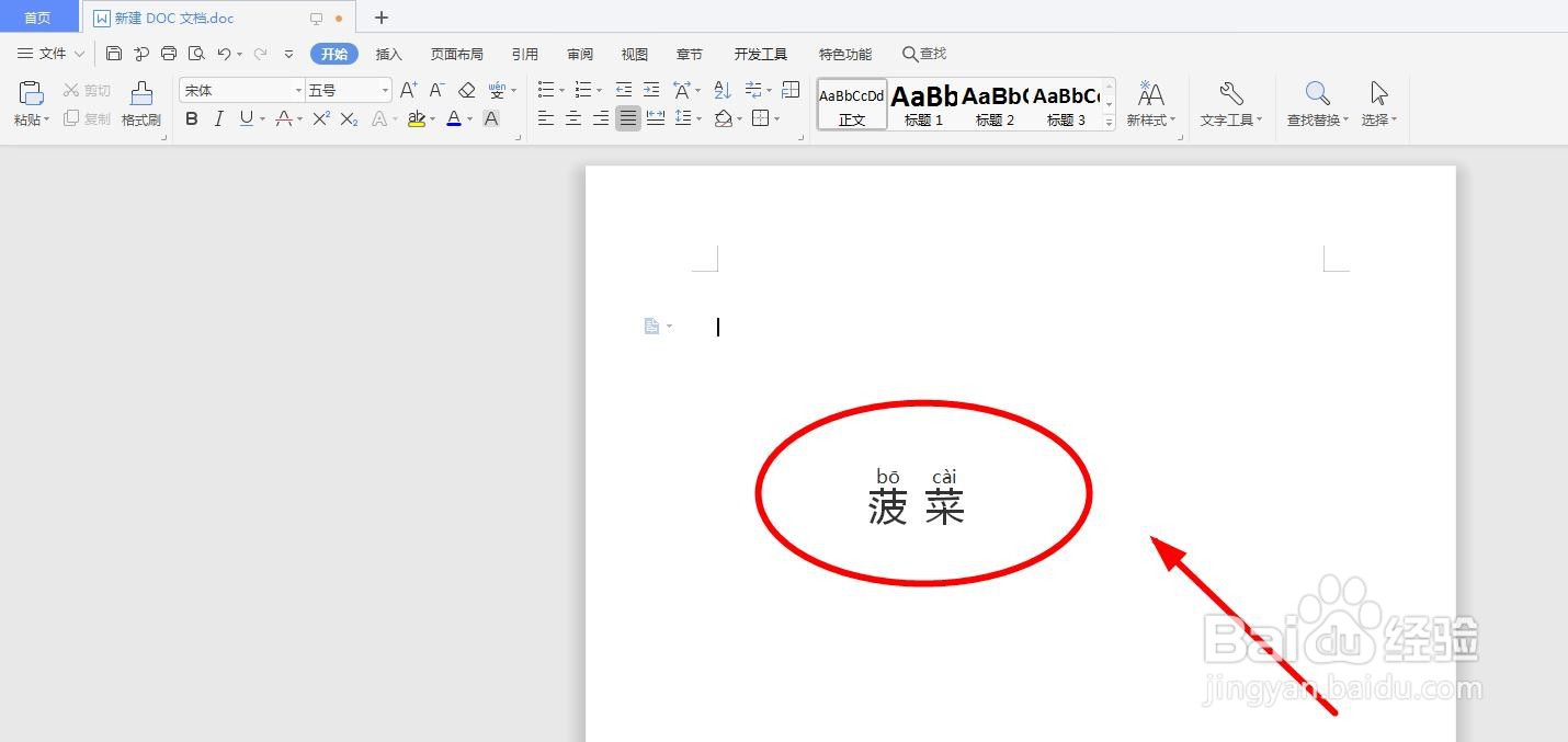 怎么用word软件给“菠菜”添加拼音以及拼写声调