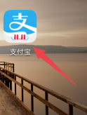 怎么解除支付宝对滴滴出行授权