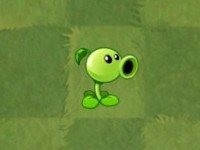 植物大战僵尸——进阶植物的建议(初期篇)