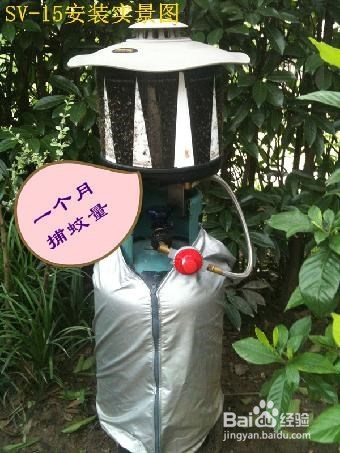 私家庭院如何防治蚊虫