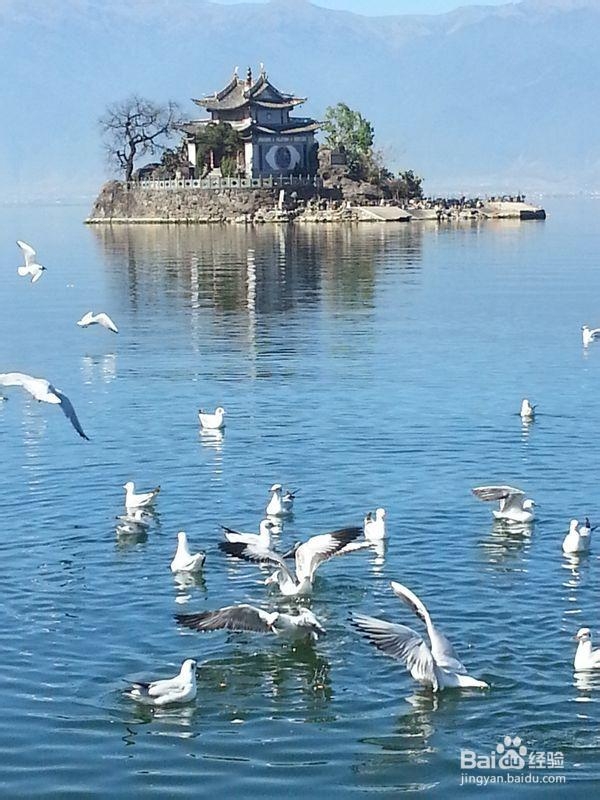 大理古城旅行攻略