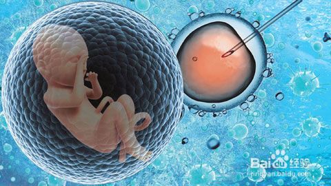 染色体易位如何要孩子