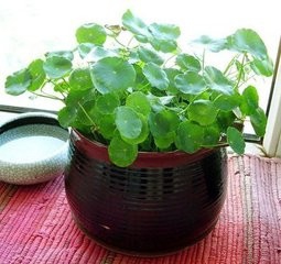 办公场所如何布局