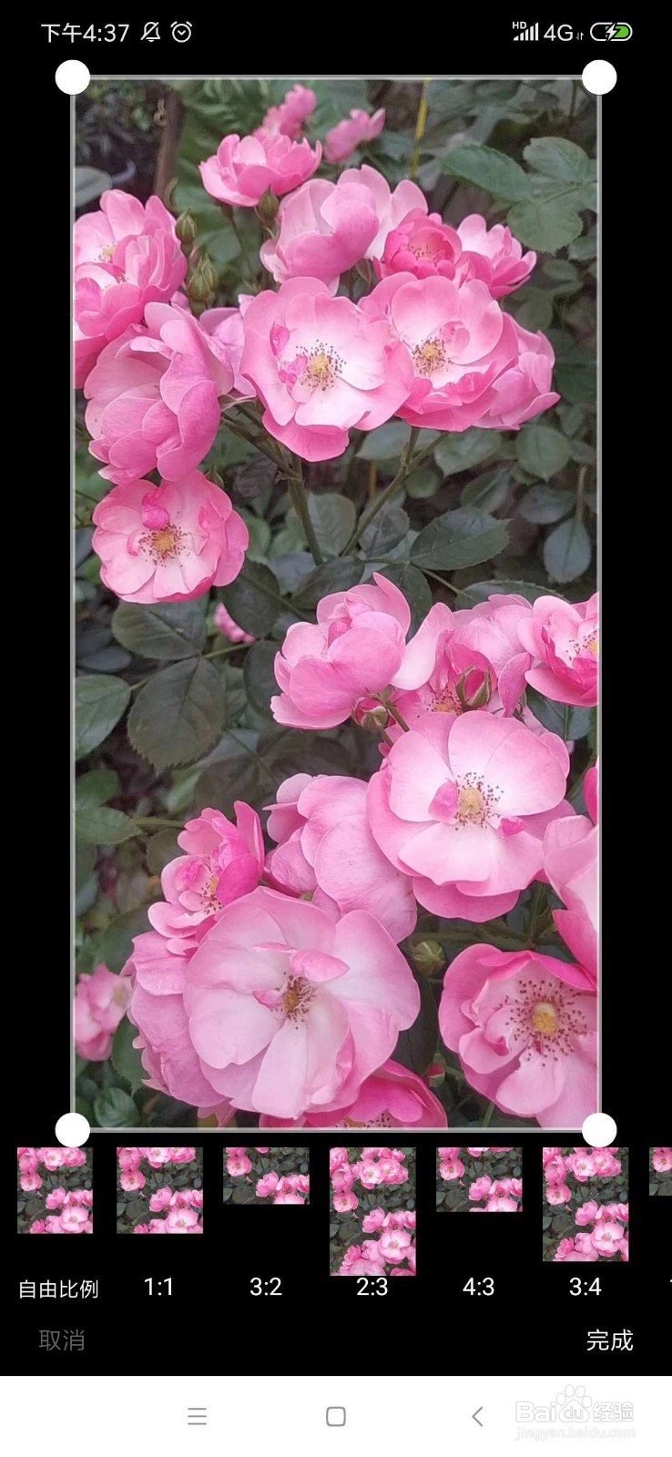 新华影像APP上，怎么修改已经发布的作品