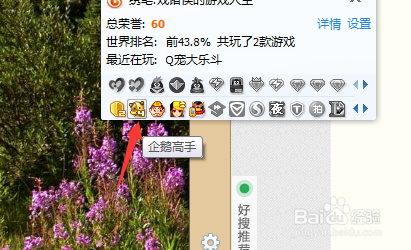 为什么QQ宠物无法显示在桌面上呢