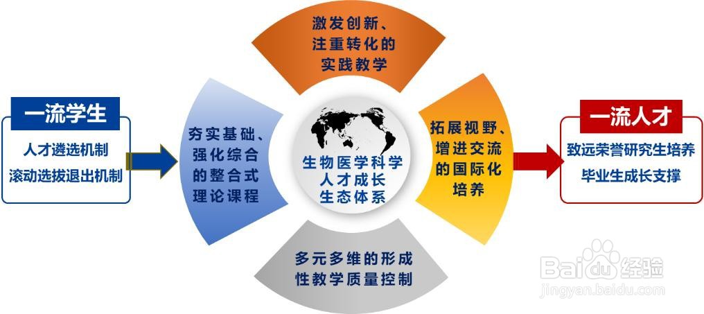 啥是强基计划,怎样报考?