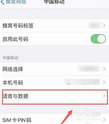 苹果12如何切换数据网络