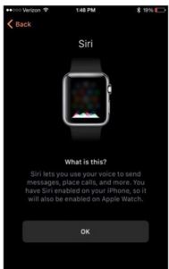 apple watch上的i标志在哪