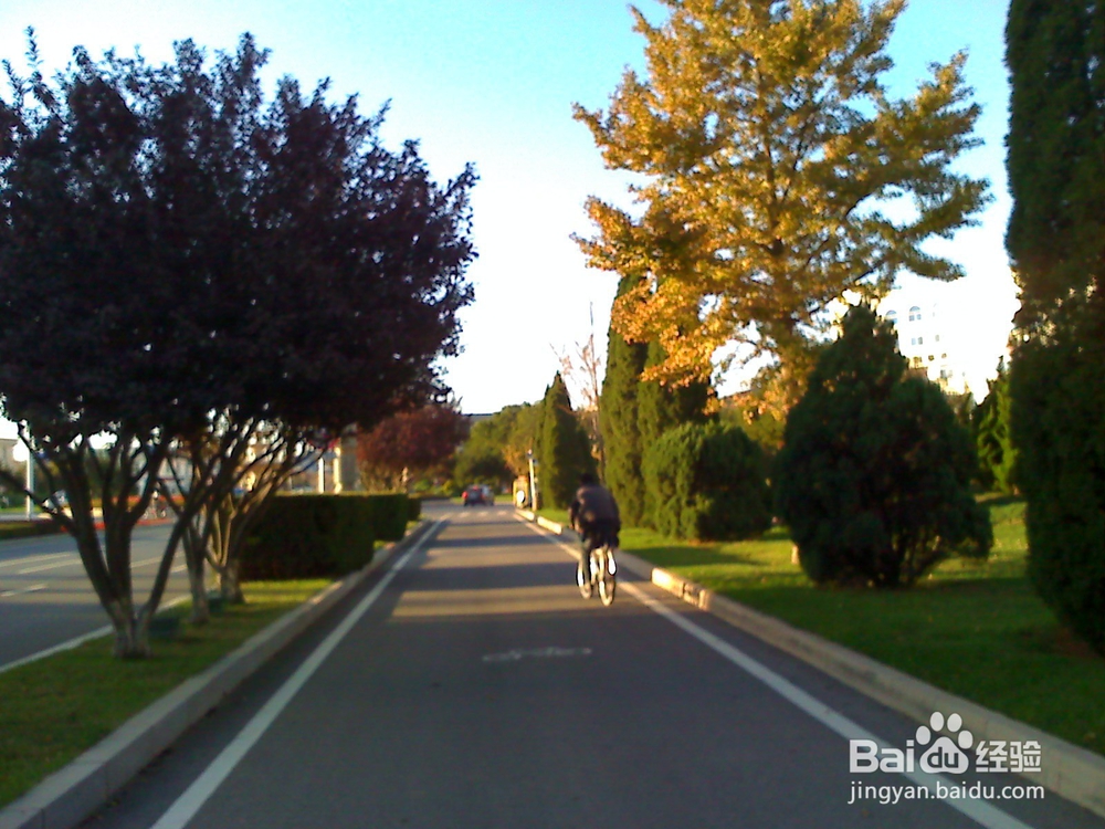 怎样告诉孩子安全出行---19