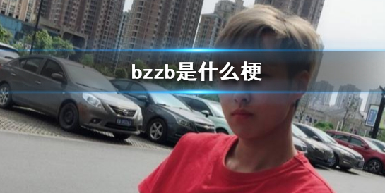 bzzb是什么梗