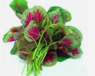 孕妇尽量少碰的蔬菜有哪些？