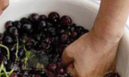 葡萄酒第二次发酵还需要过滤吗