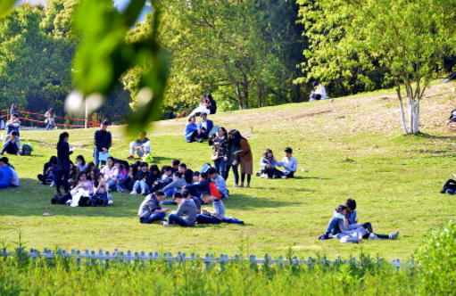 庄浪三中的校园一景作文不少于六百字