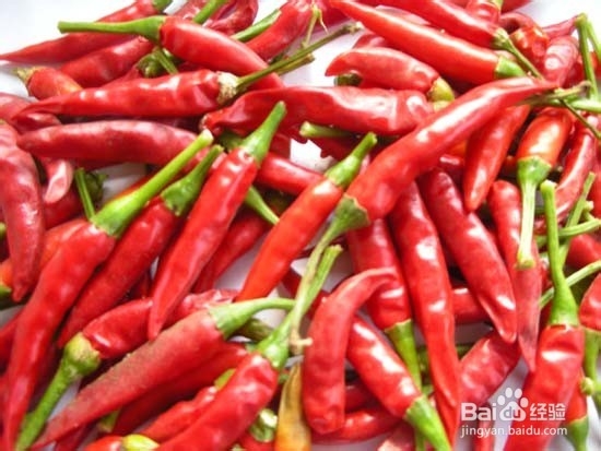 盆栽青椒观赏和食用