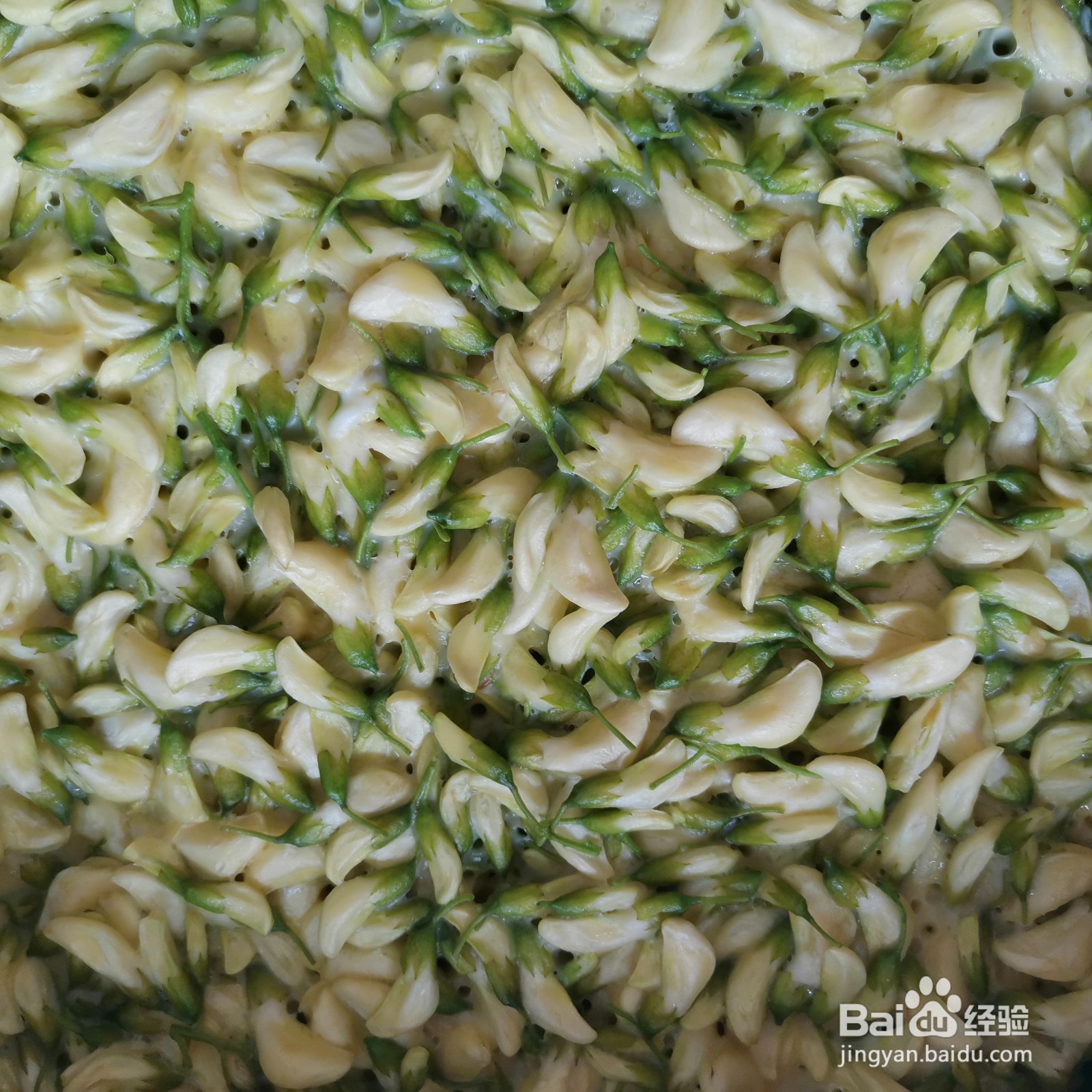 怎么做唇齿留香的家常槐花饼呢？