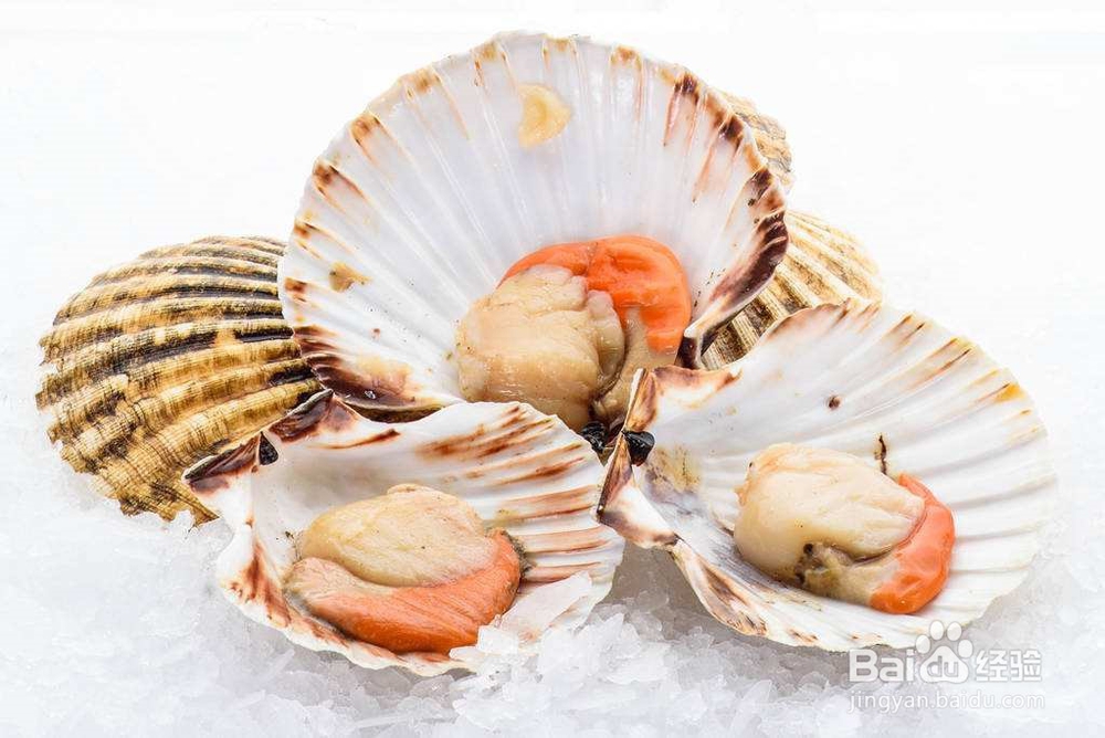 菠菜拌扇贝攻略