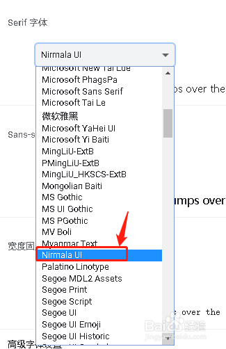 谷歌浏览器设置Serif 字体Nirmala UI