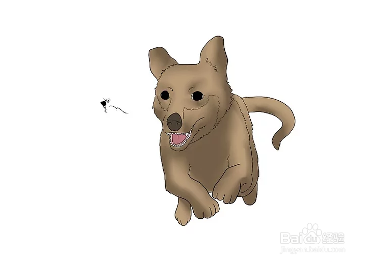 如何驱赶苍蝇