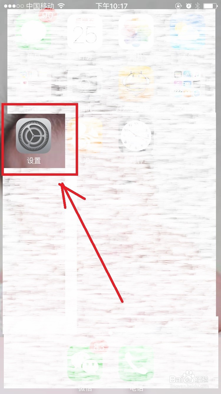 苹果手机如何查看IP地址
