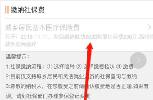 怎么查询农村合作医疗是否缴费