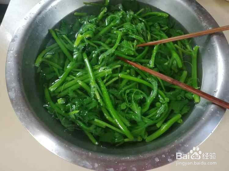 凉拌南瓜藤的做法