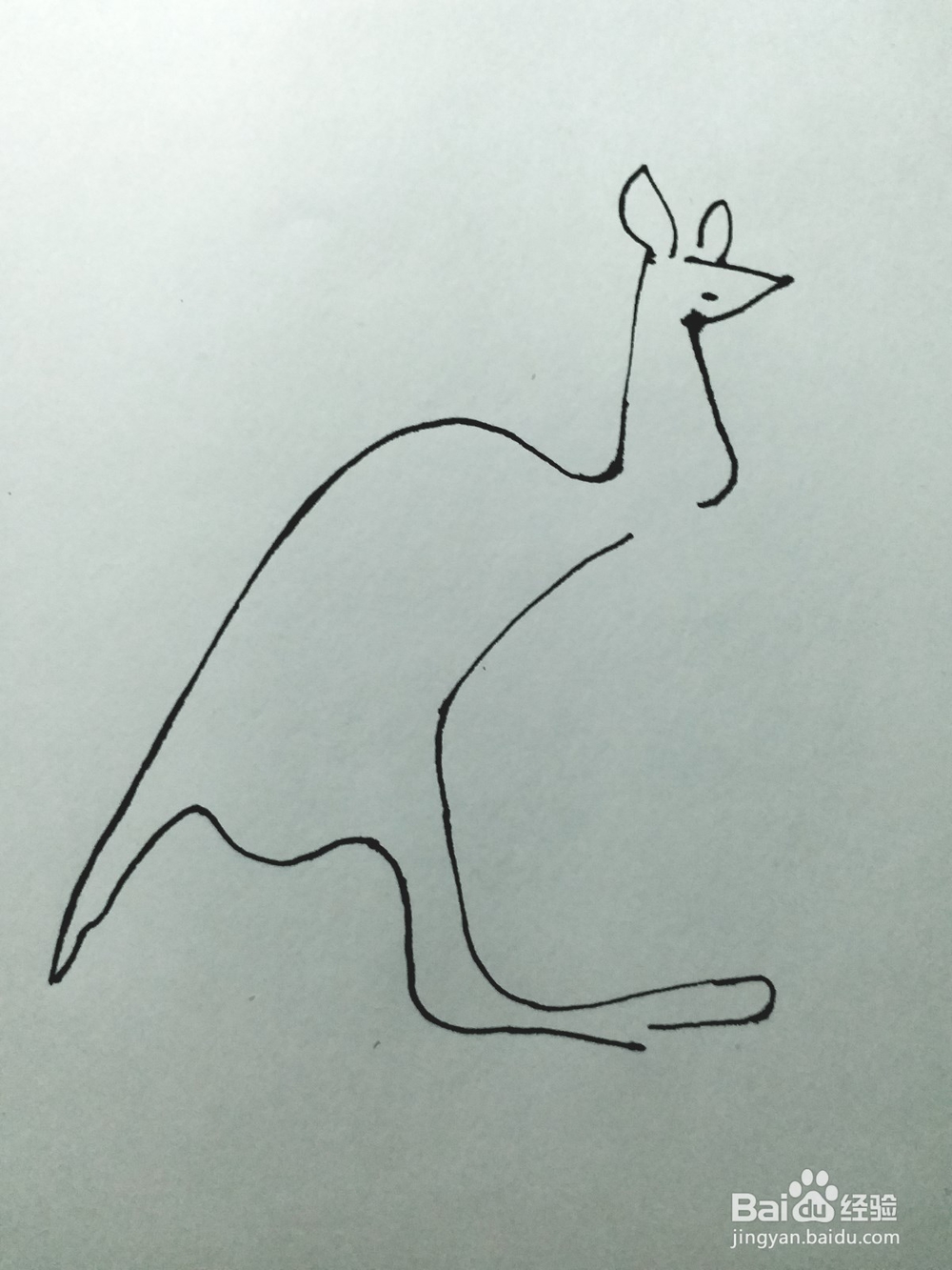 袋鼠的简笔画法（四）