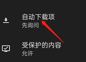 狐猴浏览器怎样设置自动下载项
