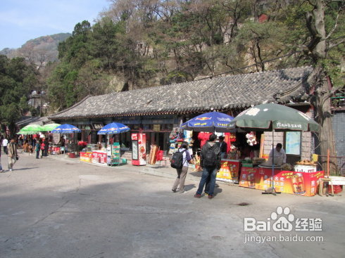 山东印象之体验泰山