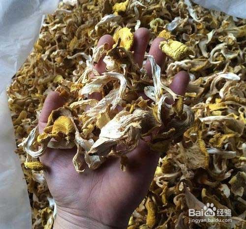 玉皇菇的做法大全