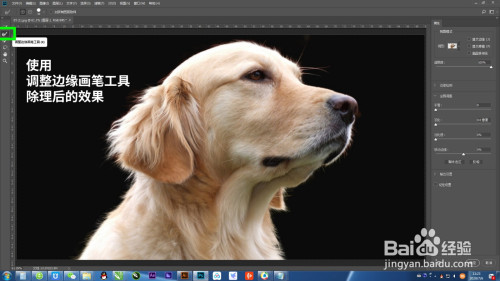 PS快速抠图的小技巧