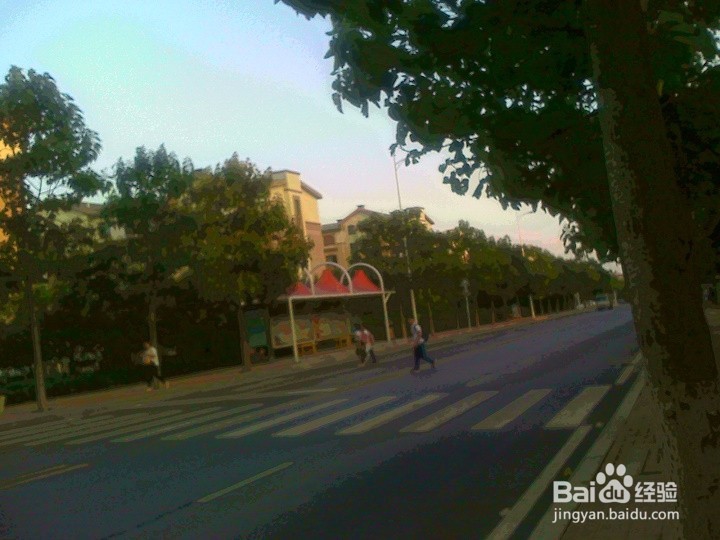 学生放学不要横穿马路