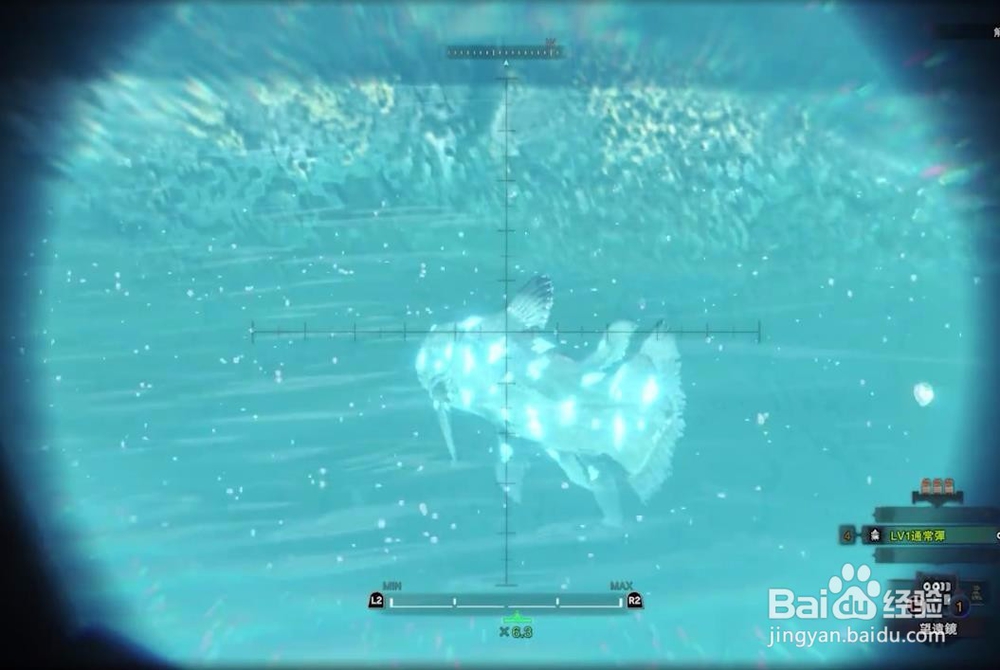 怪物猎人世界化石汤釜在哪捕获？解锁遇到活化石