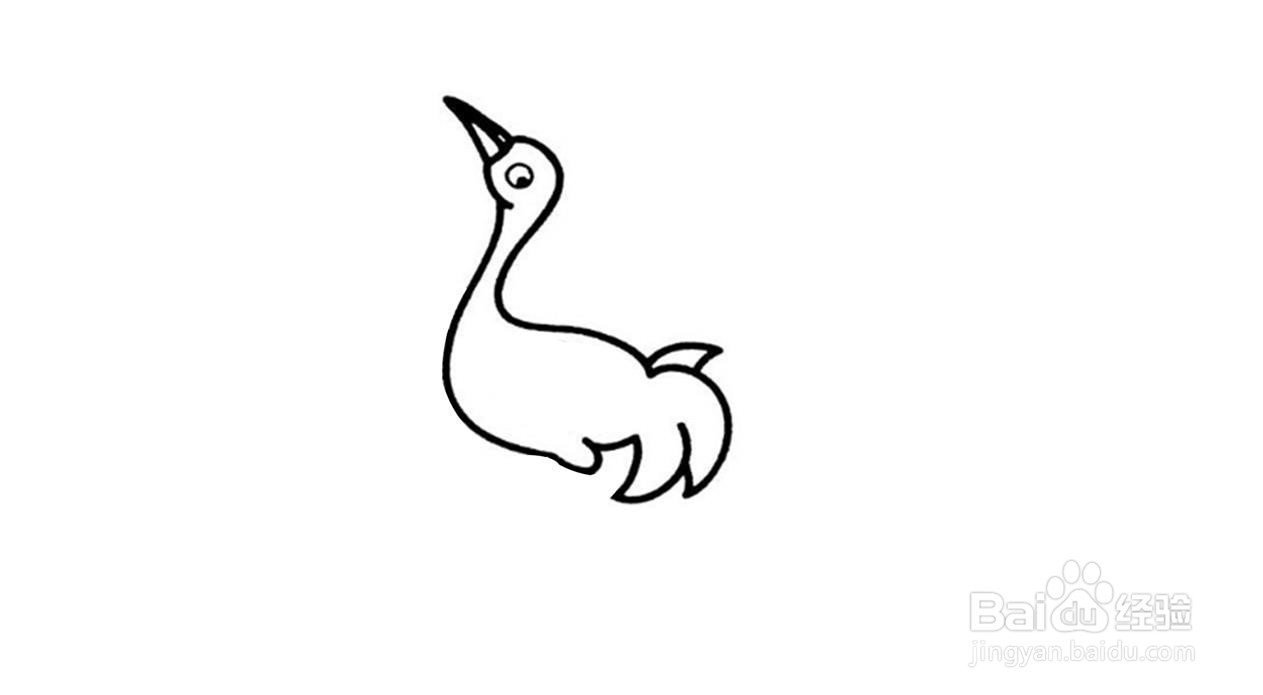 仙鹤简笔画画法分解