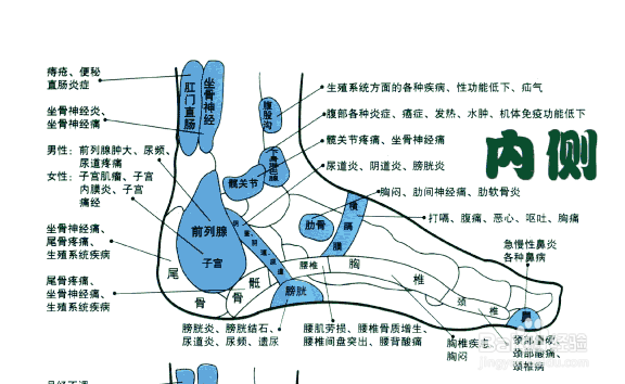 如何增强男人性功能能力