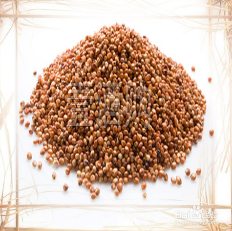 酒苦是什么原因