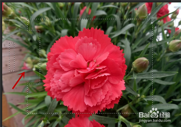 Photoshop选区工具怎么用？PS怎么使用选区工具