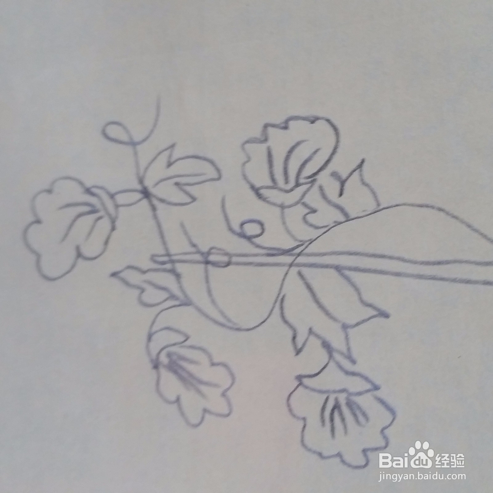 儿童简笔画牵牛花