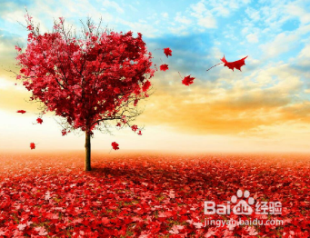 2018年如何面对考试前的焦虑呢?