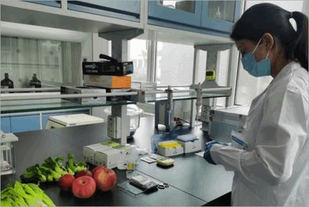 学食品专业的就业方向是什么