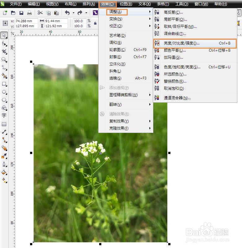 cdr里面如何将图片颜色调亮