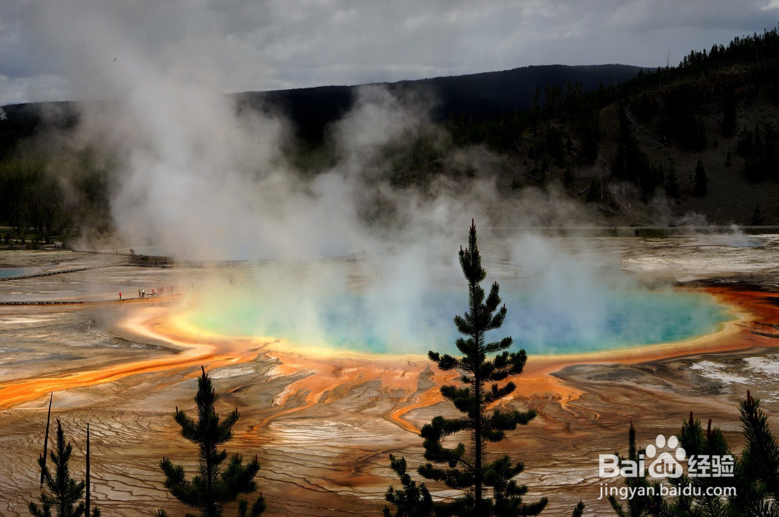 黄石公园在美国的哪个州