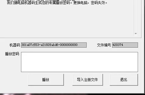 怎么查投标文件的机器码