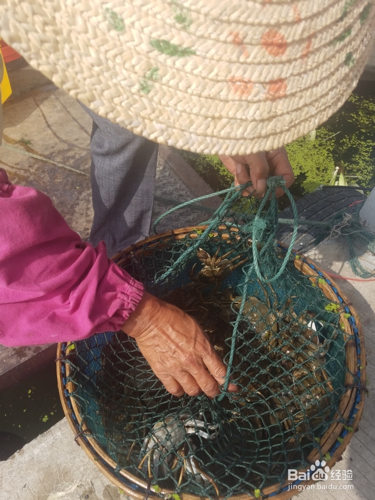 简单无压力做大闸蟹法