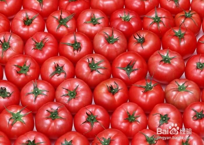 <b>西红柿有哪些作用</b>