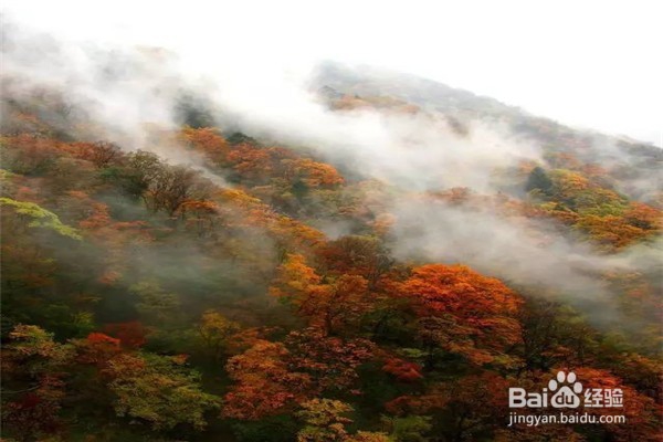 中国最佳旅行时间表攻略—你的下半年都被包了