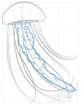 如何绘制水母