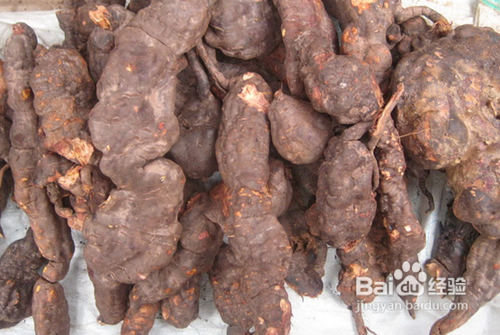 10种食物超级补肾