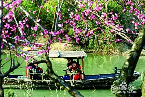 西溪湿地旅游攻略