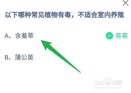 蚂蚁庄园:哪种常见植物有毒,不适合室内养殖