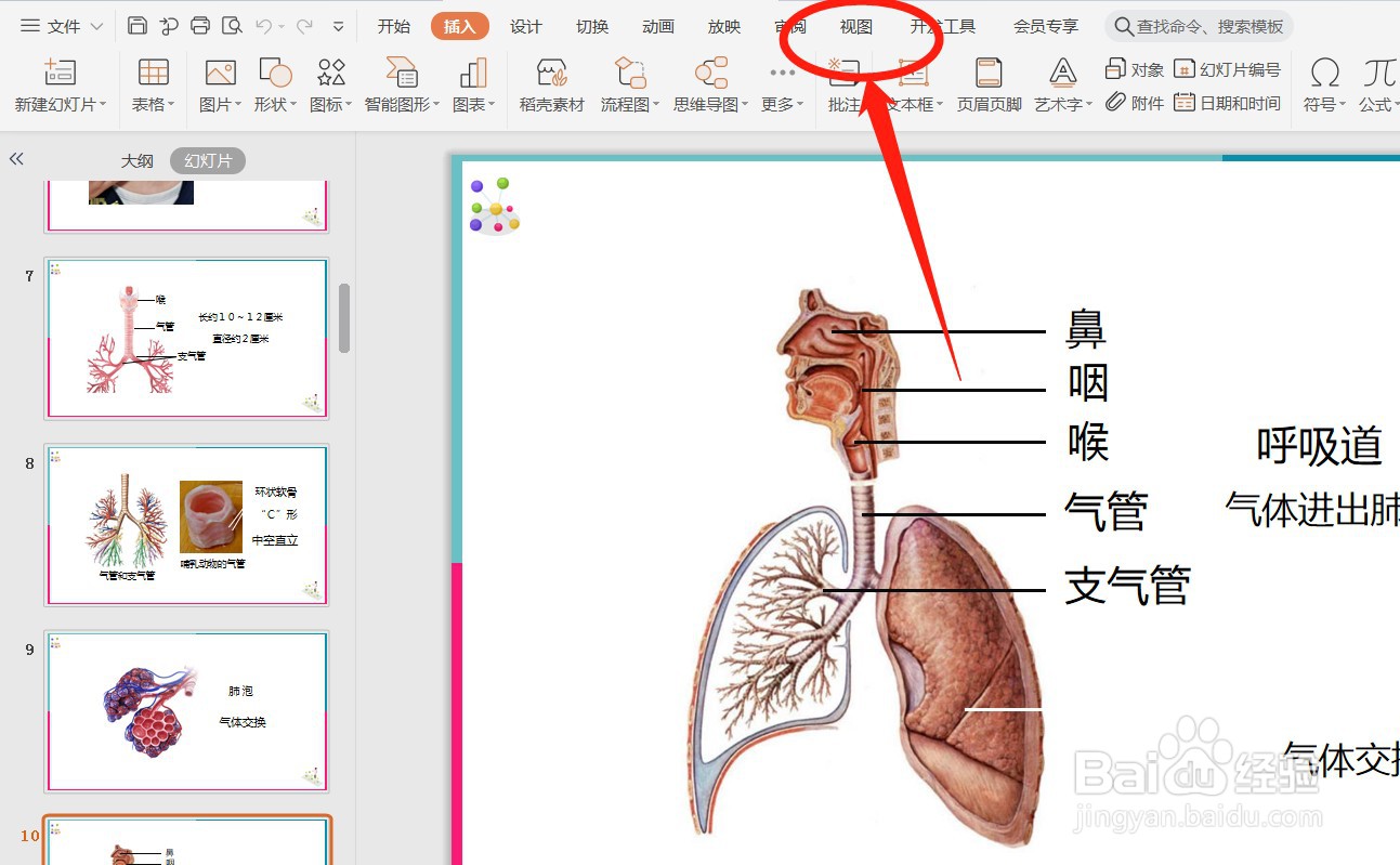 ppt怎么加图片水印?